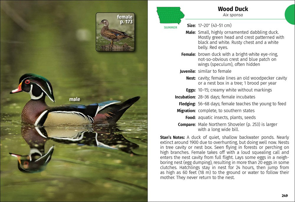 Birds of Iowa Field Guide