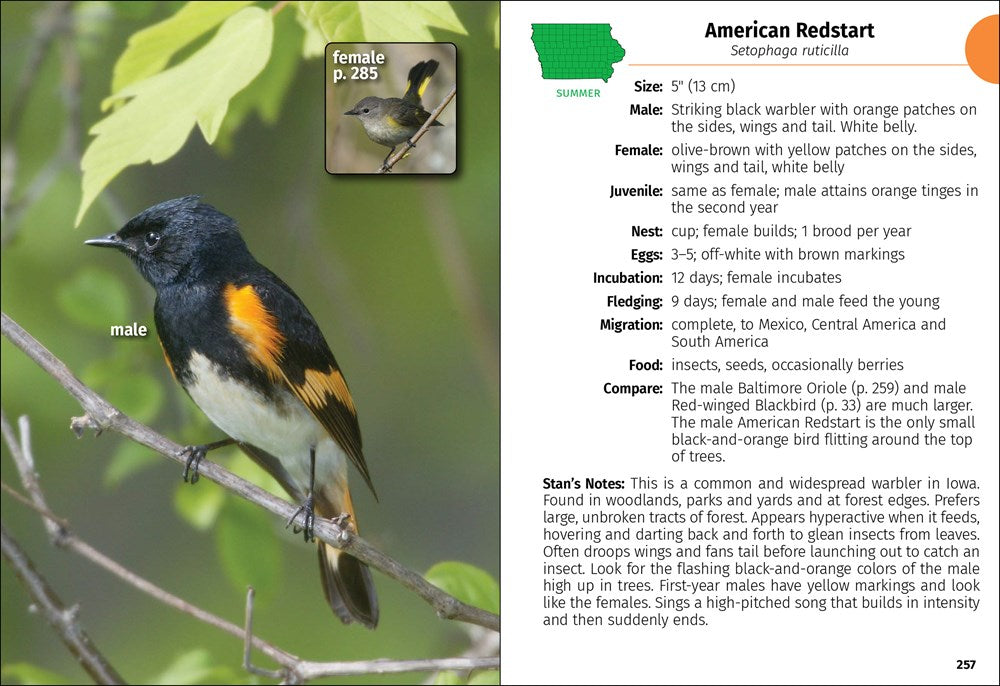 Birds of Iowa Field Guide