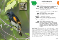 Birds of Iowa Field Guide