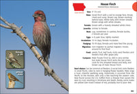 Birds of Iowa Field Guide