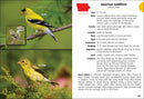 Birds of Iowa Field Guide