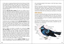 Birds of Iowa Field Guide
