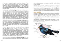 Birds of Iowa Field Guide