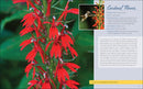 Native Plant Gardening for Birds, Bees & Butterflies: Northeast