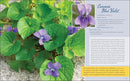 Native Plant Gardening for Birds, Bees & Butterflies: Northeast