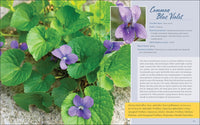 Native Plant Gardening for Birds, Bees & Butterflies: Northeast