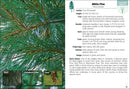 Trees of Colorado Field Guide