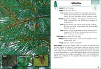 Trees of Colorado Field Guide