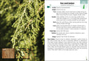 Trees of Colorado Field Guide