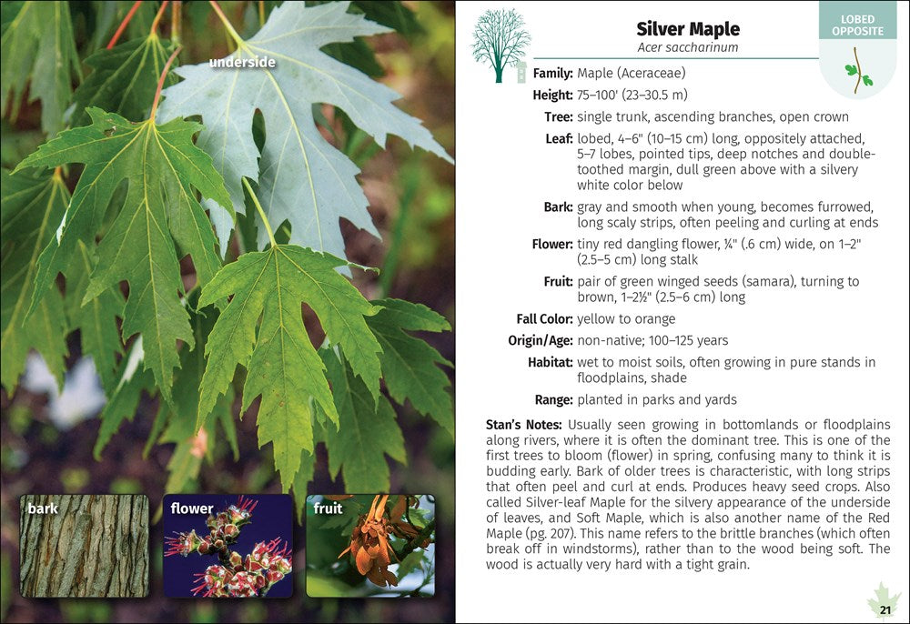 Trees of Colorado Field Guide