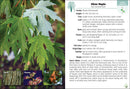 Trees of Colorado Field Guide