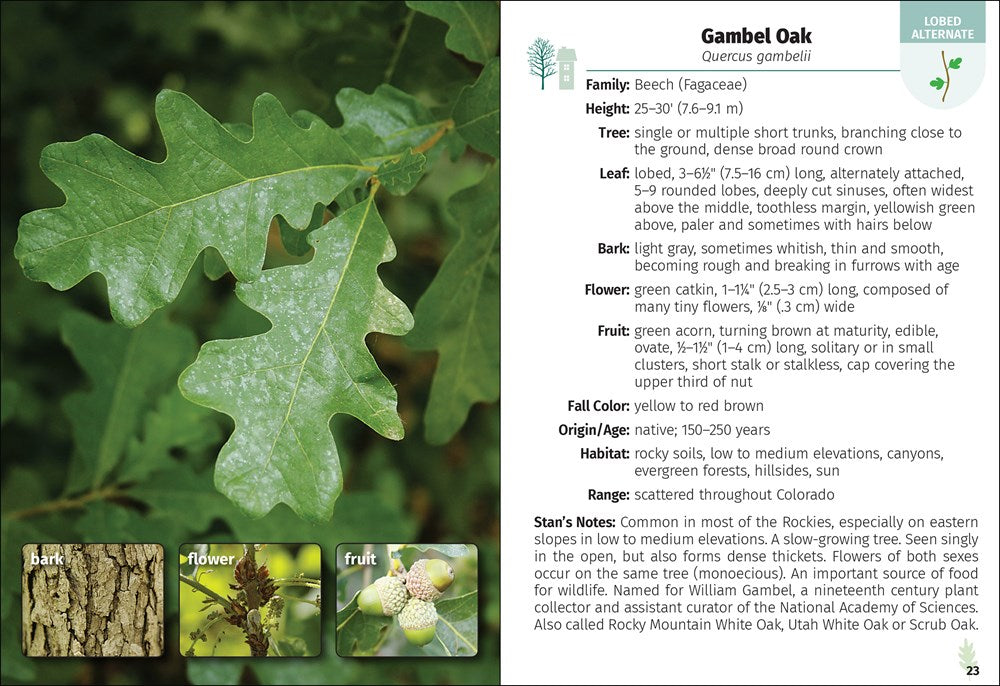 Trees of Colorado Field Guide