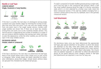Trees of Colorado Field Guide