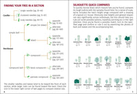 Trees of Colorado Field Guide