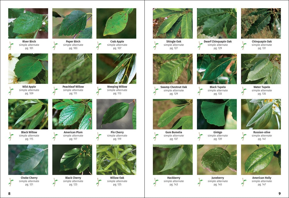 Trees of Missouri Field Guide