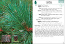 Trees of Missouri Field Guide