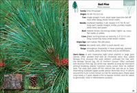 Trees of Missouri Field Guide
