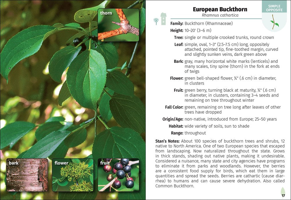 Trees of Missouri Field Guide