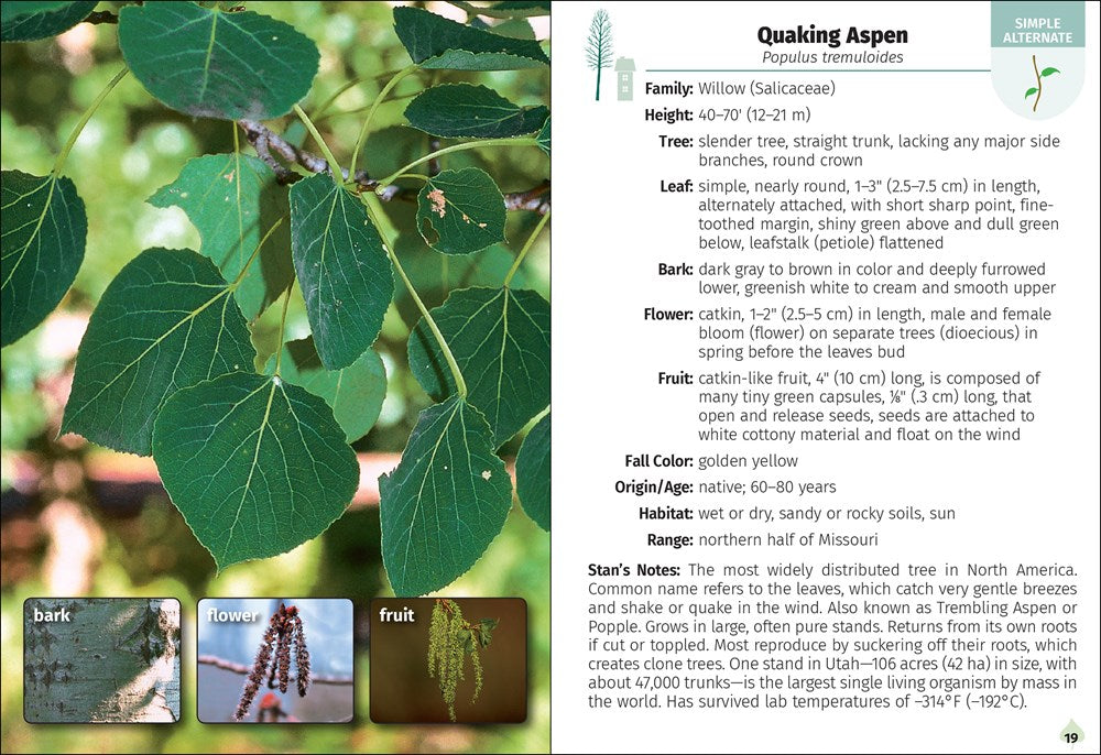 Trees of Missouri Field Guide