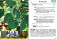 Trees of Missouri Field Guide