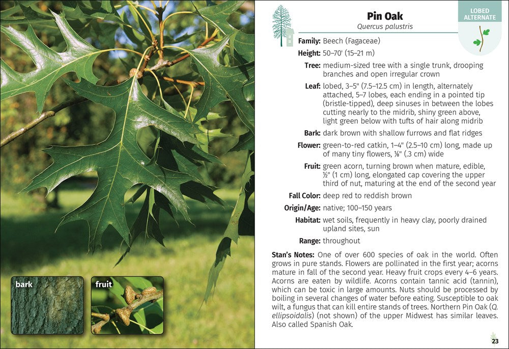 Trees of Missouri Field Guide