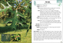 Trees of Missouri Field Guide