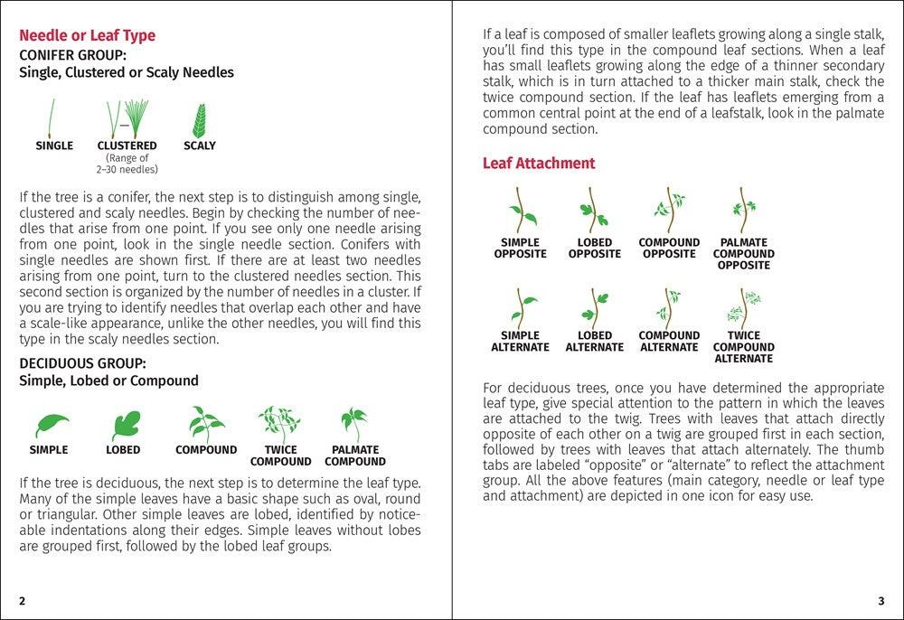 Trees of Missouri Field Guide