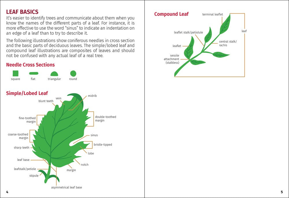 Trees of Missouri Field Guide