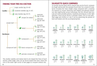 Trees of Missouri Field Guide