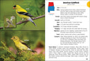 Birds of Alabama Field Guide