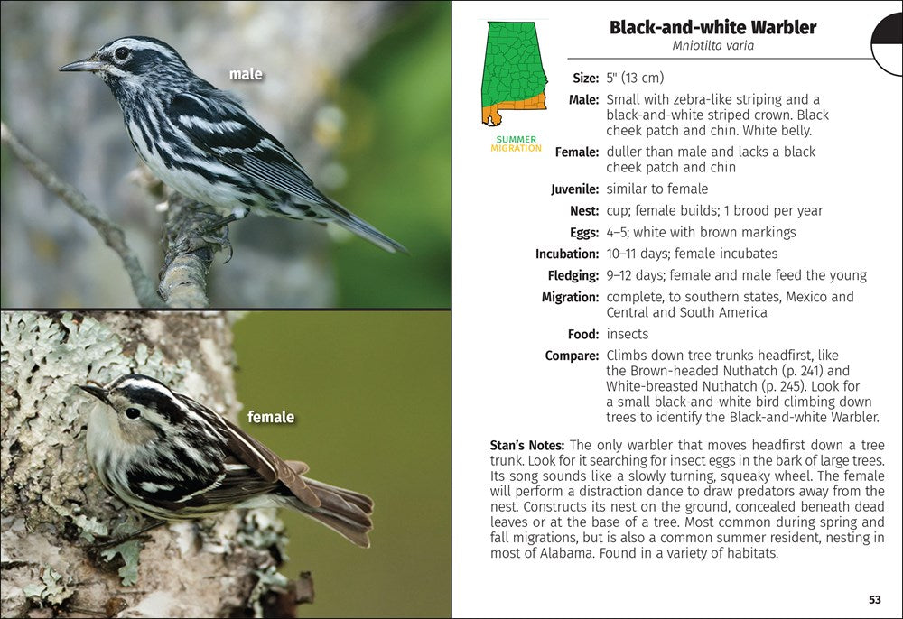 Birds of Alabama Field Guide