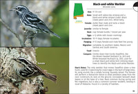 Birds of Alabama Field Guide