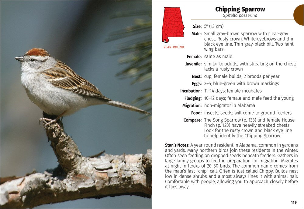 Birds of Alabama Field Guide