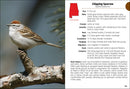Birds of Alabama Field Guide