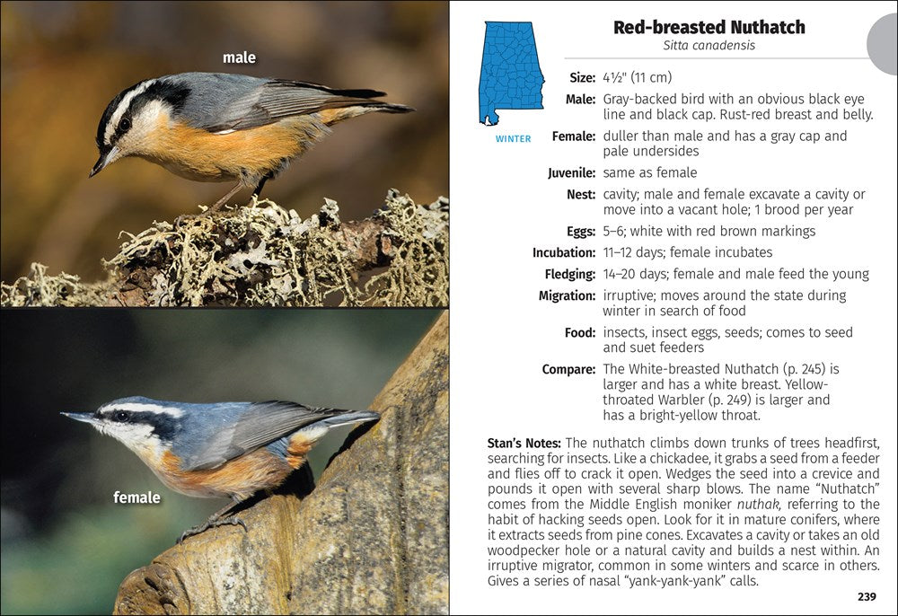Birds of Alabama Field Guide