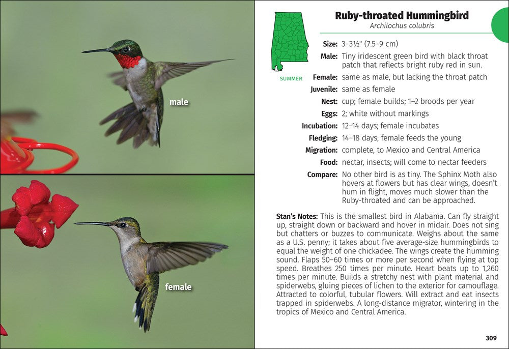 Birds of Alabama Field Guide