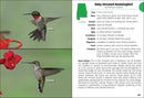 Birds of Alabama Field Guide