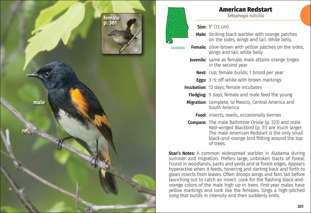 Birds of Alabama Field Guide