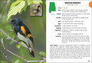 Birds of Alabama Field Guide