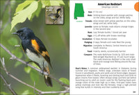 Birds of Alabama Field Guide
