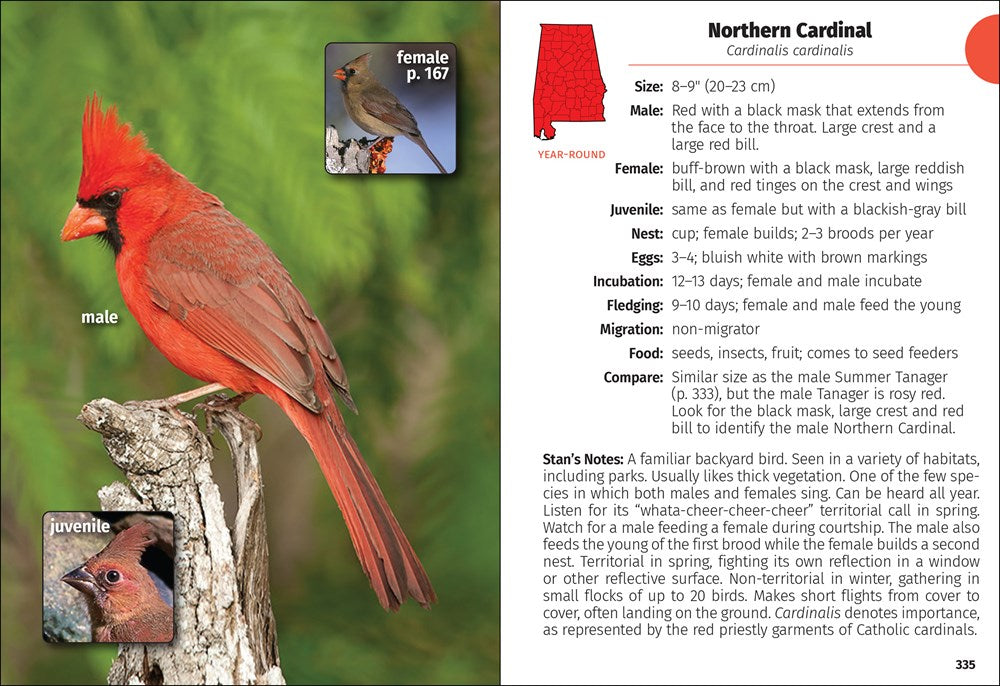 Birds of Alabama Field Guide