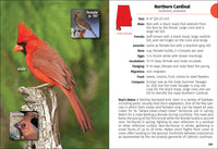 Birds of Alabama Field Guide