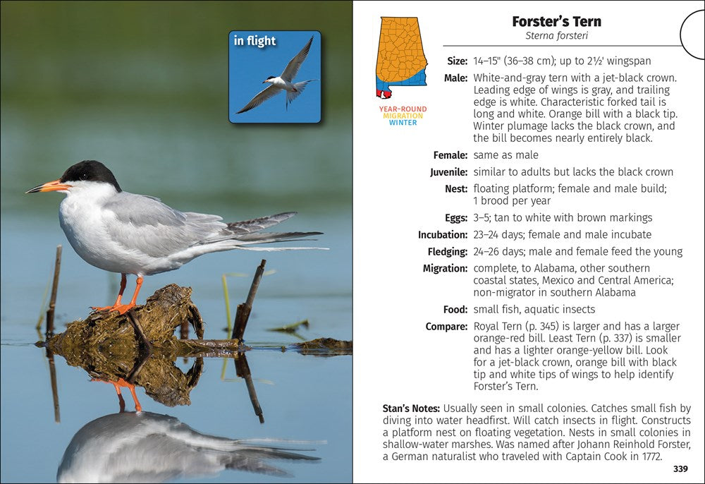 Birds of Alabama Field Guide