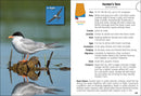 Birds of Alabama Field Guide