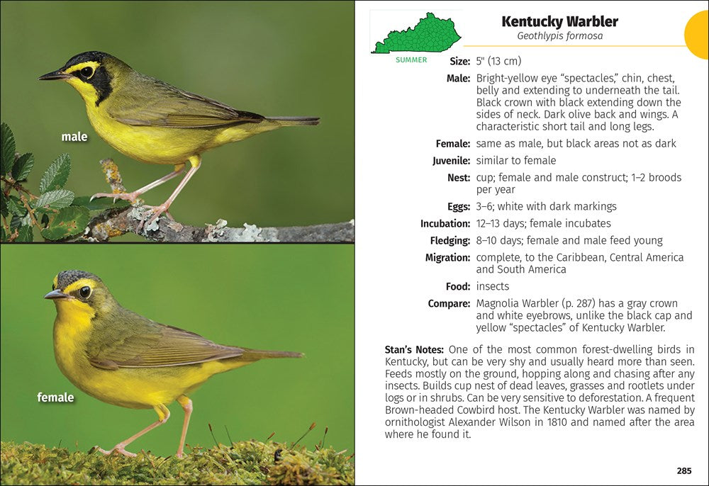 Birds of Kentucky Field Guide