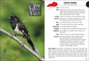 Birds of Kentucky Field Guide