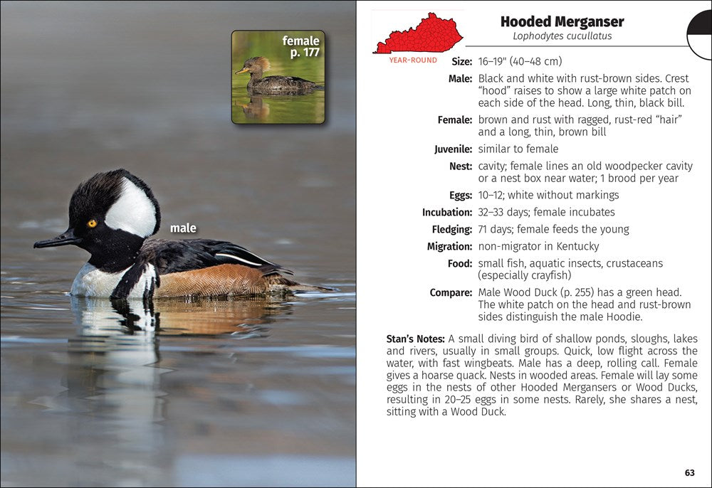 Birds of Kentucky Field Guide
