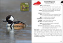 Birds of Kentucky Field Guide