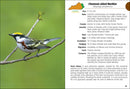 Birds of Kentucky Field Guide