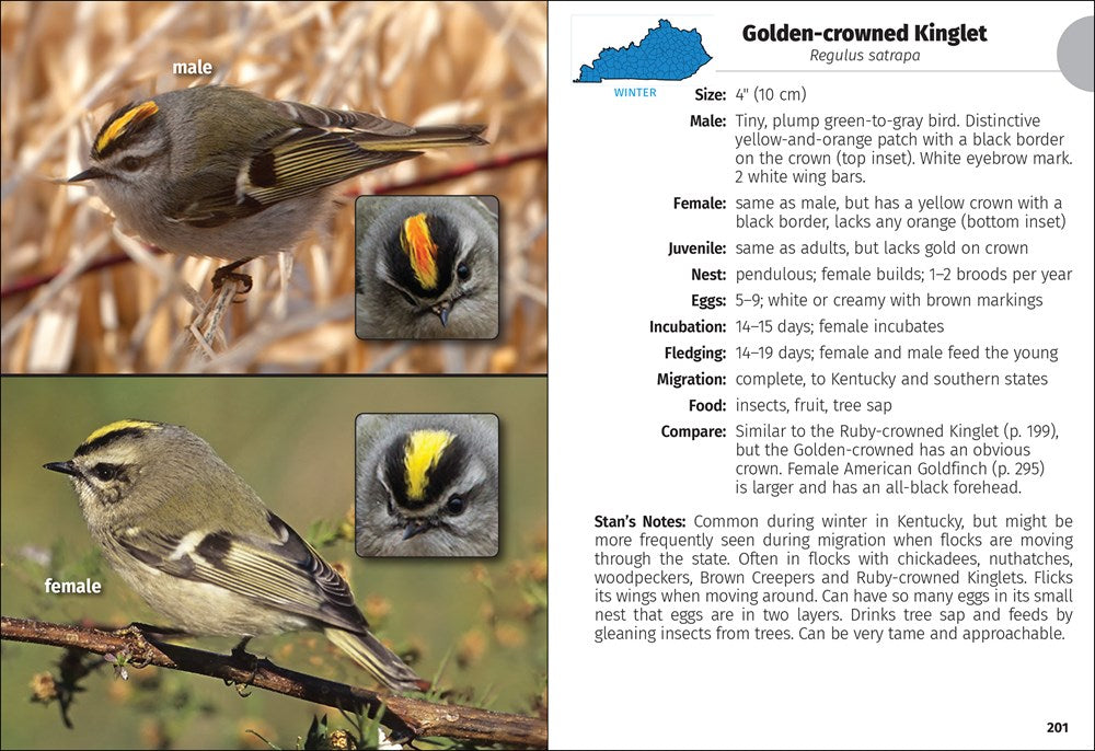 Birds of Kentucky Field Guide